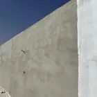 مليص