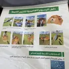 خيمه بر
