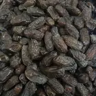 تمر صفاوي لبيع متوفر كميات