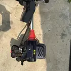 الأحد المسارحة