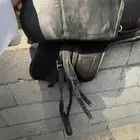 سرج خيل ستيتوس