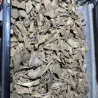 عود ببوا غينيا دبل وتربل على حدود استراليا تابعة لإندونيسيا