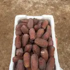 تمر برني العلا فاخر نفس الصوره