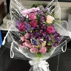 منسق وخطاط مصر