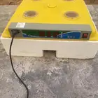 فقاسة 63 بيضه
