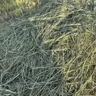 سلام عليكم بلوبنك ورق طيب شد80 لتواصل