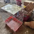 بياضات ومعالف وقفاص طيور