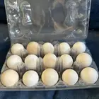 بيض فيومي وشوي بلدي للبيع