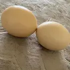 بيض نعام مخصب