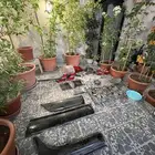 قطع غيار لكزس 430 مديل 2001-2003