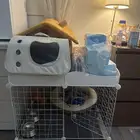 مستلزمات كلب