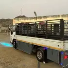 دينه محايل
