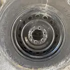 جنوط هلل اصليه