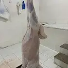 حري ذبايح ثلاجه يوجد صلخ وتوصيل