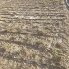 ليات تنقيط
