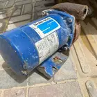 دينمو سمنان صوته هادي وعلي شرط