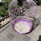 اقفاص طيور