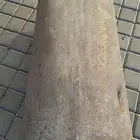 دبة جمس 93 طررب اصلي وكالة مستعملة