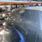 كبوت ازيرا 2024-2025