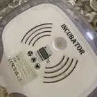 فقاصه