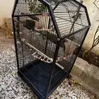 قفص طيور ببغاء