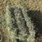 بلوبنك