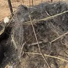 حديد سكراب خرده للبيع