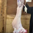 حنيذ مطبوخ واصل لعندك