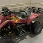دباب سويدي
