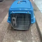 صندوق قطه شبه جديد للبيع المستعجل