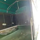فوترك خضار وفواكه جاهز