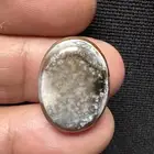 عقيق بماني بقراني نوادر مشجر غابة ومصور