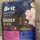 أكل حيوانات