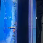 شاشه مكسورة للبيع