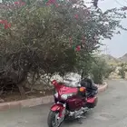 قولد وينق 2012