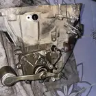 جيلي