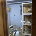 حمام فرنسي