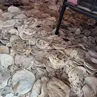خبز ناشف