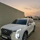 باليسيد 2019 نضيف