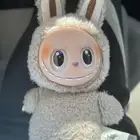 لابوبو للبيع