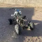 دباب فراشه شغال