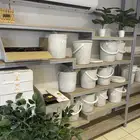 عروض على اجود انواع التمور