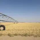 شمال ساجر