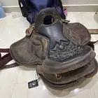 سرج خيل البيع
