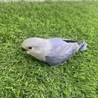 روز اليف غر هدد