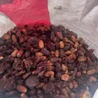 تمر علف للحلال