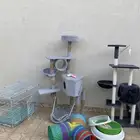 العاب واغراض قطط للبيع
