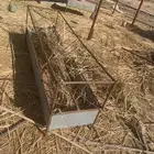 مناقل حلف غنم