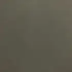 يوجد 12 تيوس كفووو يوجد مقطع له وتساب