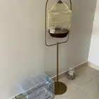 اقفاص طيور